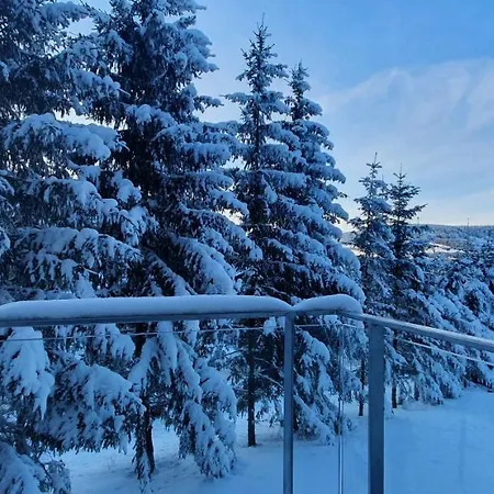 Daire Nerudovka D 104, Finska Sauna, Garazove Stani Loučná pod Klínovcem