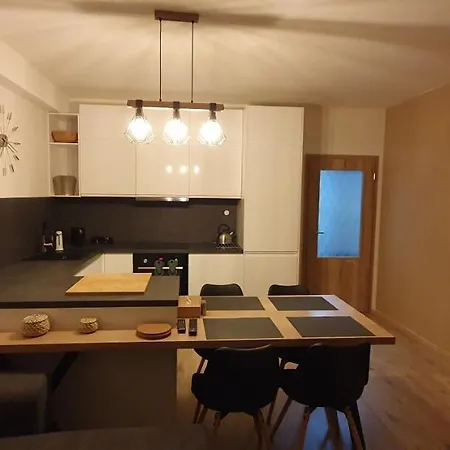 Διαμέρισμα Nerudovka D 104, Finska Sauna, Garazove Stani *