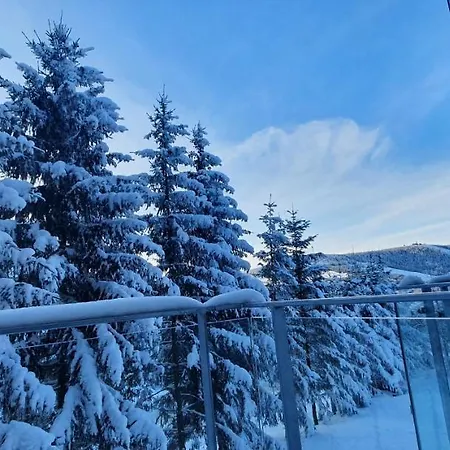 Apartament Nerudovka D 104, Finska Sauna, Garazove Stani *