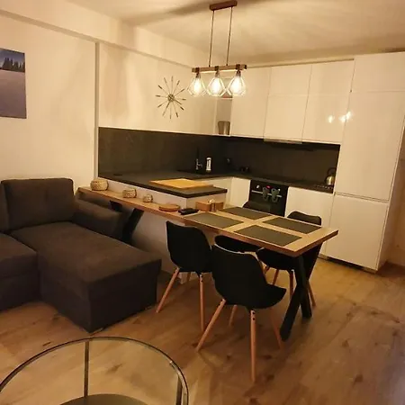 Διαμέρισμα Nerudovka D 104, Finska Sauna, Garazove Stani *