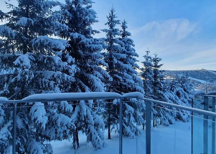 Apartament Nerudovka D 104, Finska Sauna, Garazove Stani Loučná pod Klínovcem