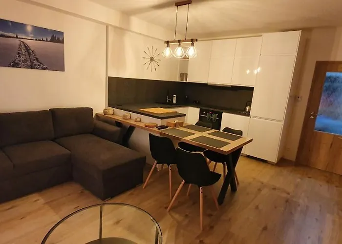 Apartament Nerudovka D 104, Finska Sauna, Garazove Stani *
